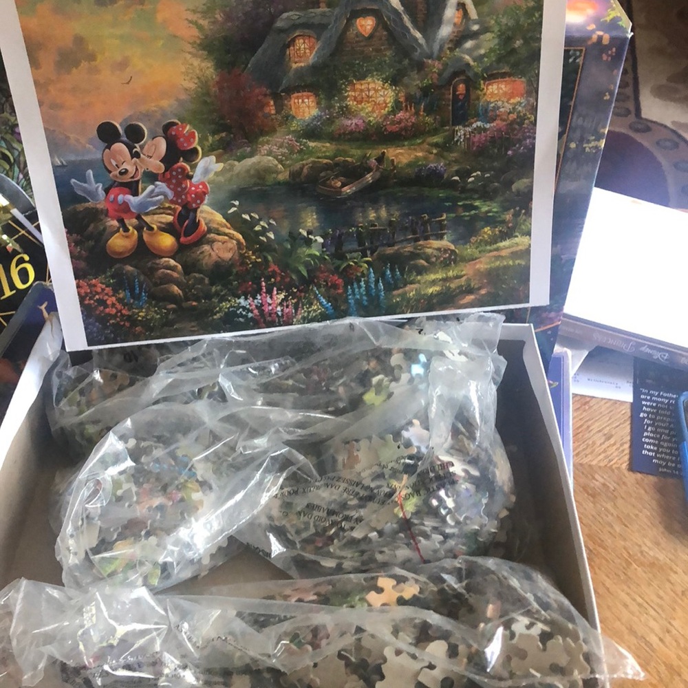 Disney Thomas Kinkade 500 piece puzzle bungle